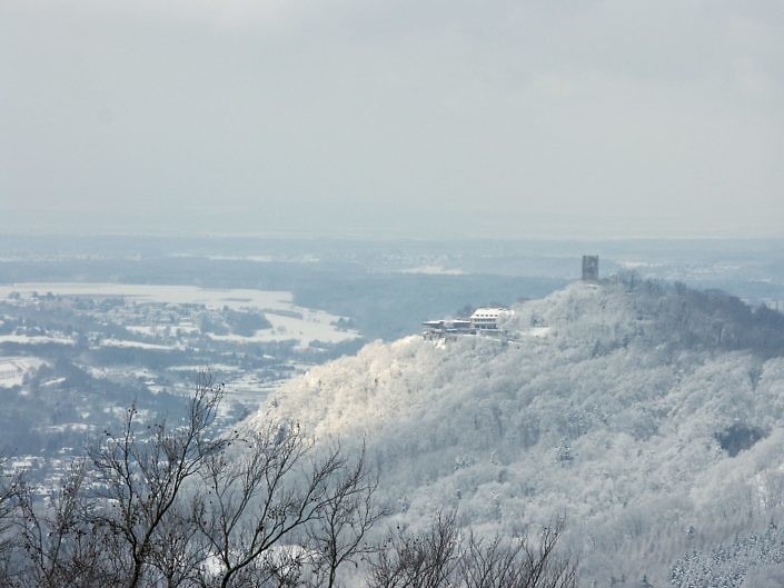 Siebengebirge 2010