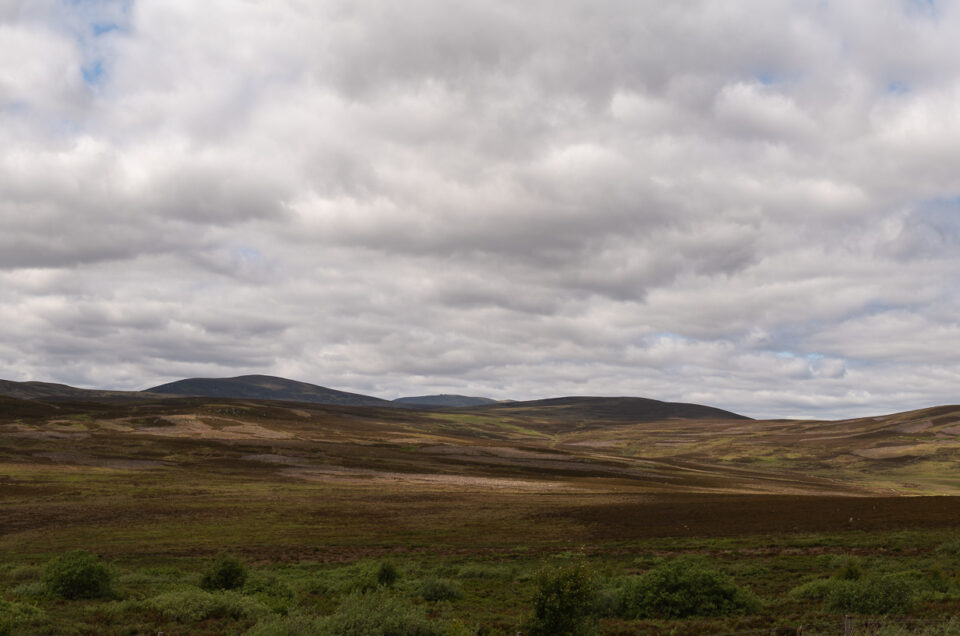New Galleries "Scotland 2025".