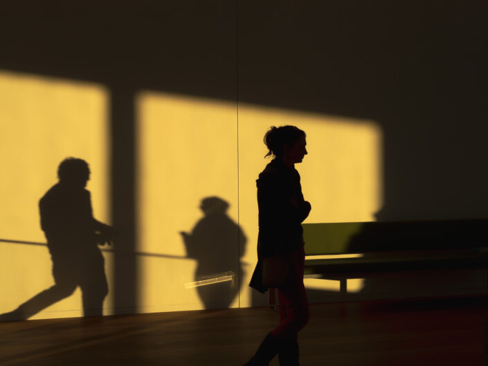 Plato’s Playground